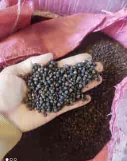BLACK  PEPPER