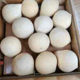 DỪA TƯƠI