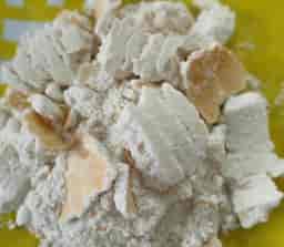 CÁM DỪA TRẮNG