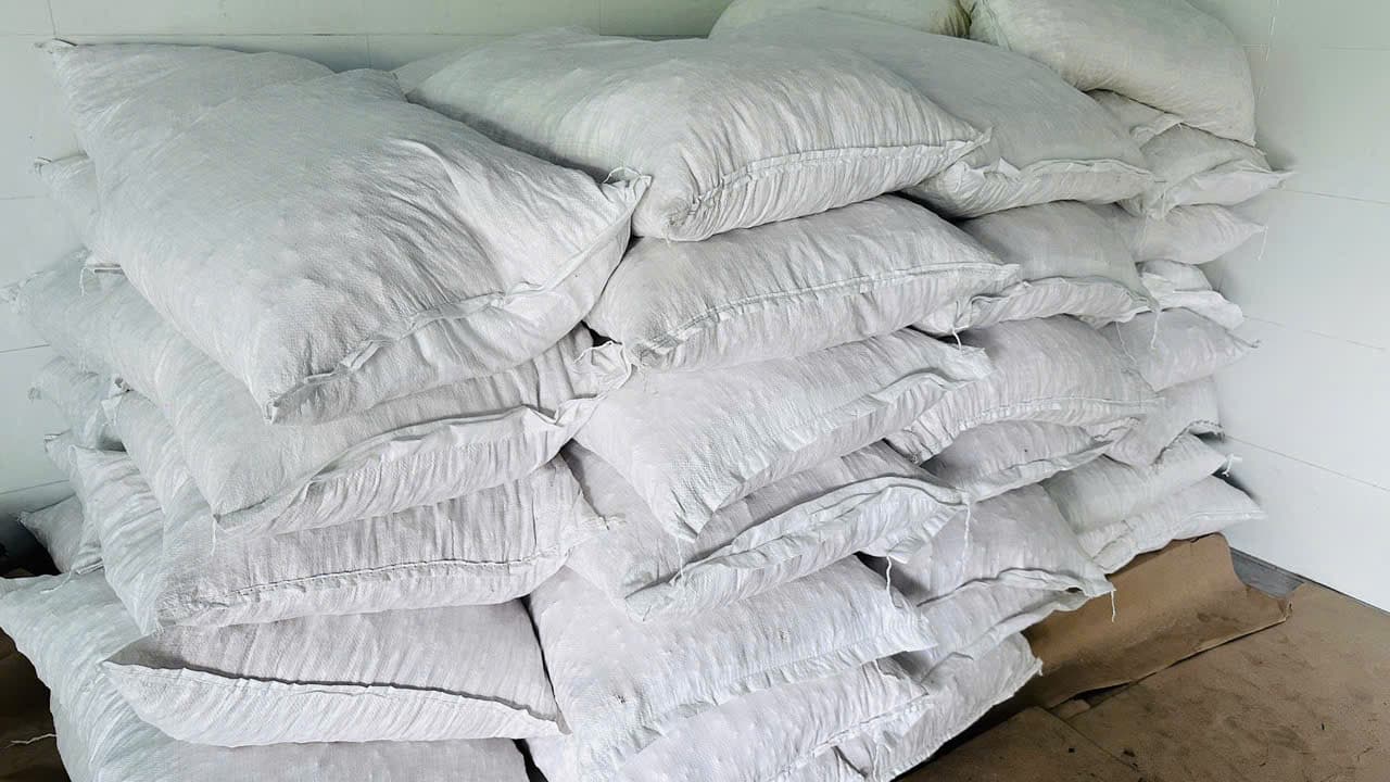 CÁM DỪA CHĂN NUÔI
