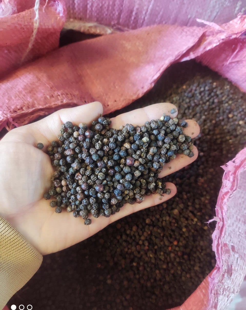BLACK  PEPPER