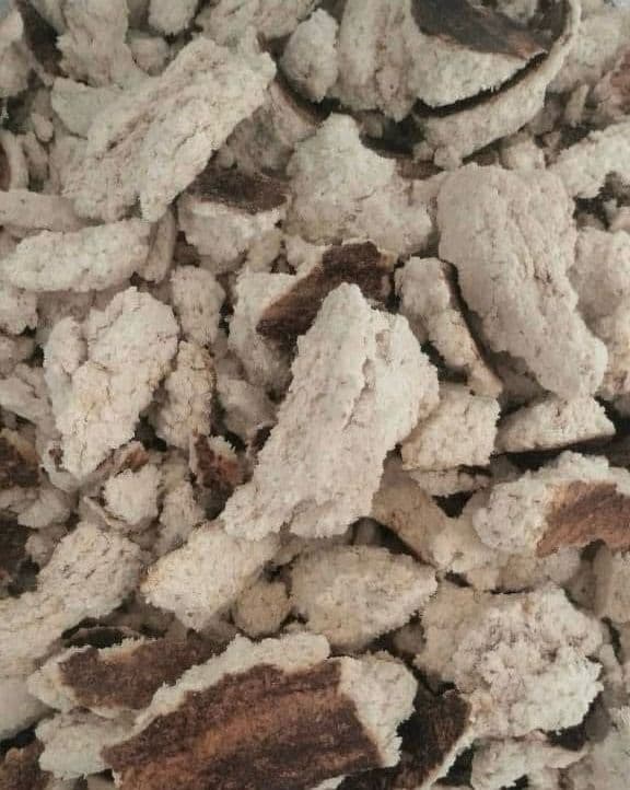 CÁM DỪA NÂU