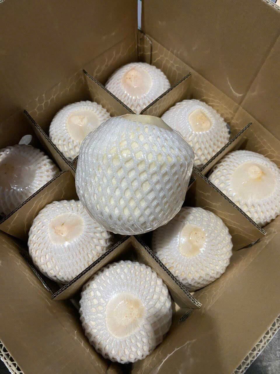 DỪA TƯƠI