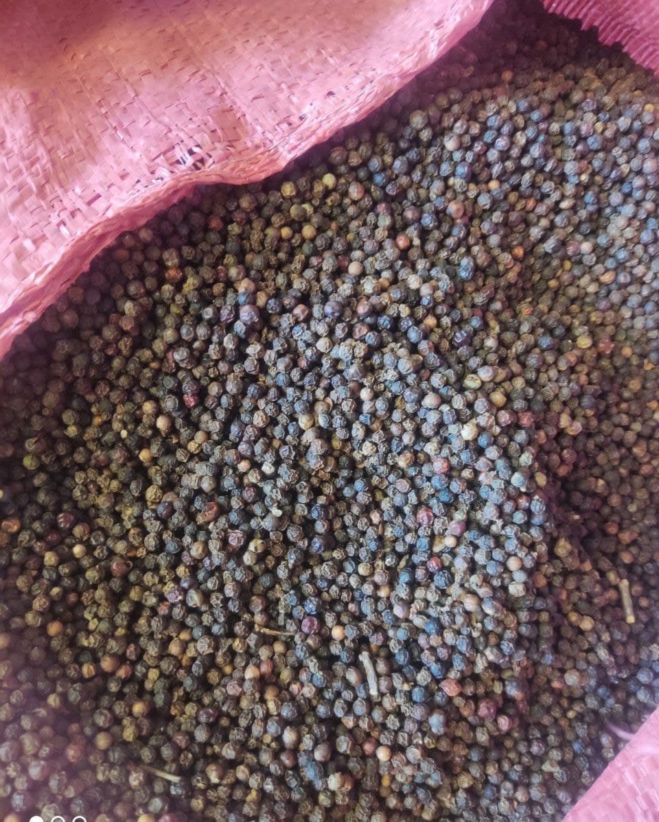 BLACK  PEPPER