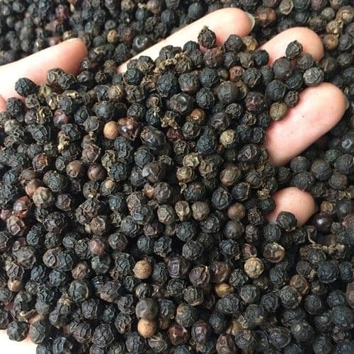 BLACK  PEPPER